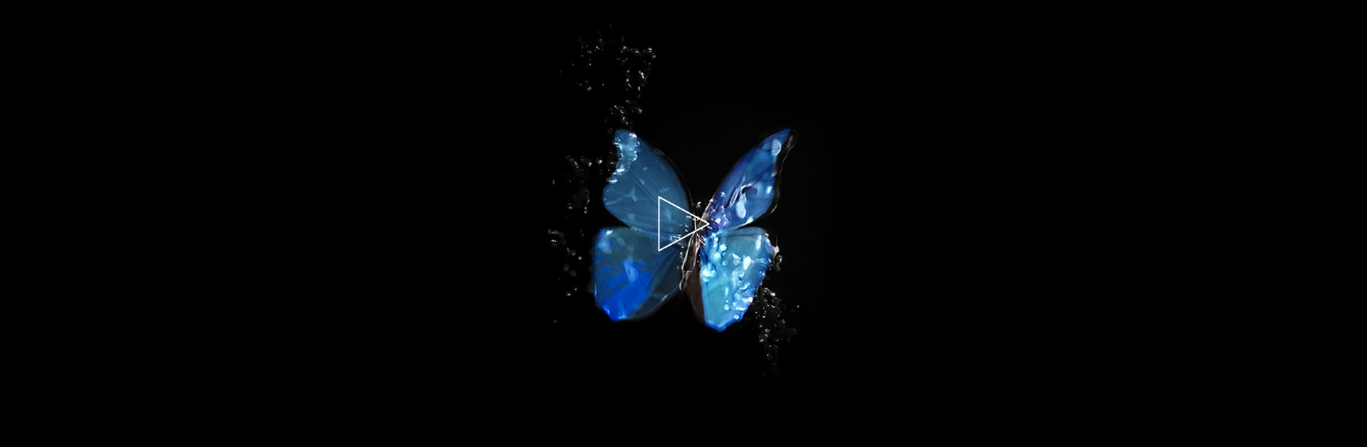 futuro-frame